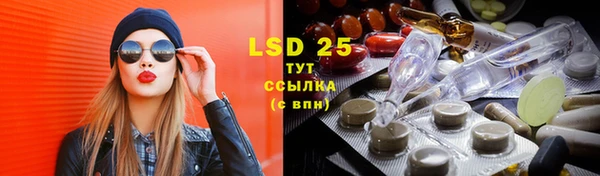 стаф Надым