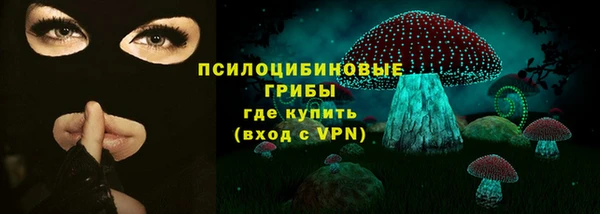 стаф Надым