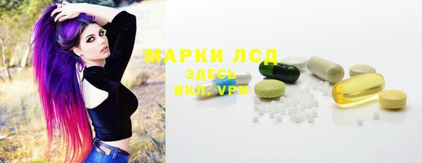 стаф Надым