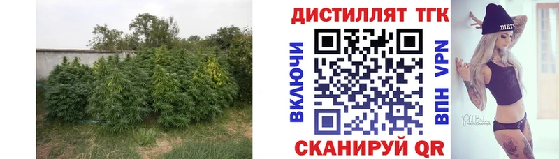 ТГК жижа  Ильский 