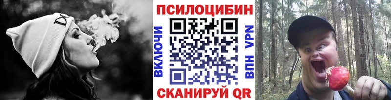 Псилоцибиновые грибы MAGIC MUSHROOMS  даркнет сайт  Ильский 